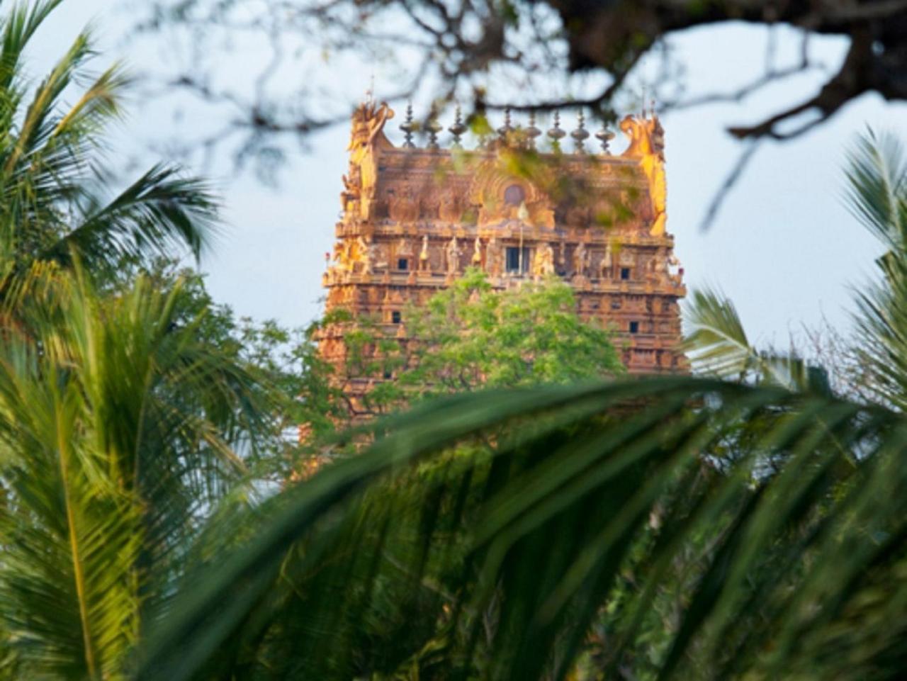 Jaffna Heritage Villa Ngoại thất bức ảnh